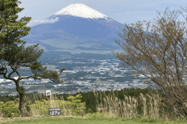 富士山が見えるティーイングエリアとヤード表示